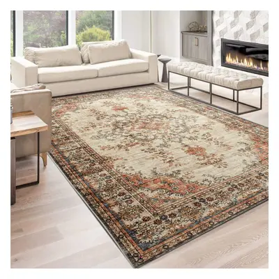 (200 x cm (6 ft in x ft 5in), Timeless) Traditional Large Rugs Indoor Outdoor Rug Carpets & Mats