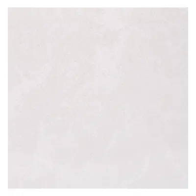 Starline Bathroom Wall Panel Frosty White x 1000mm