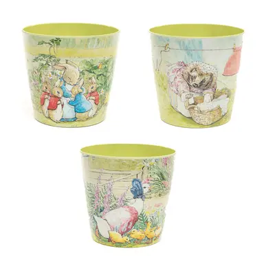 Plant Pot Beatrix Potter Set Of Eco Garden EcoPot Peter Rabbit Set