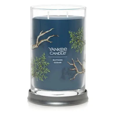 Yankee Candle Bayside Cedar Scented Signature 20oz Large Tumbler 2-Wick Candle Over Hours of Bur