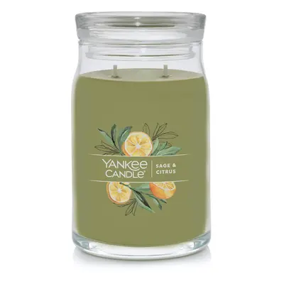 Yankee Candle Sage Citrus Scented Signature 20oz Large Jar 2Wick Candle Over Hours of Burn Time