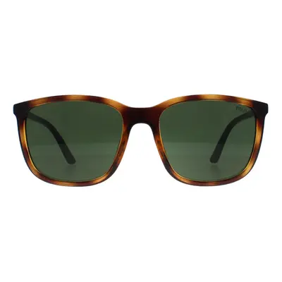 Polo Ralph Lauren Sunglasses PH4185U Shiny Havana Dark Green