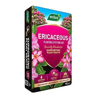 Westland Ericaceous Planting & Potting Mix Litre