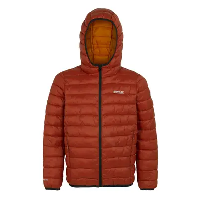 (15-16 Years, Red Ochre/Fox) Regatta Childrens/Kids Marizion Hooded Padded Jacket