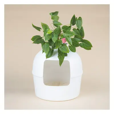 RHRQuality Litter Box Flower White