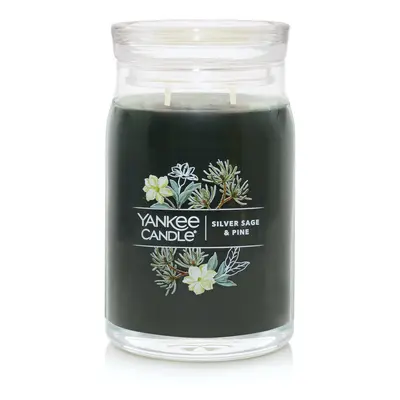 Yankee Candle Silver Sage & Pine Scented Signature 20oz Large Jar 2-Wick Candle Over Hours of Bu