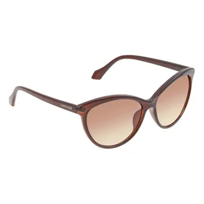 Calvin Klein Women's CK19534S Cat-Eye Sunglasses Crystal Brown/Brown