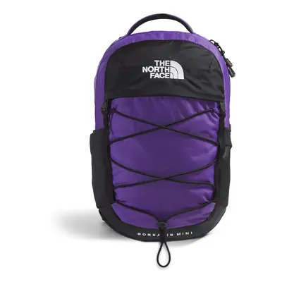 THE NORTH FACE 10L Mini Borealis Commuter Laptop Backpack Peak Purple/TNF Black One Size