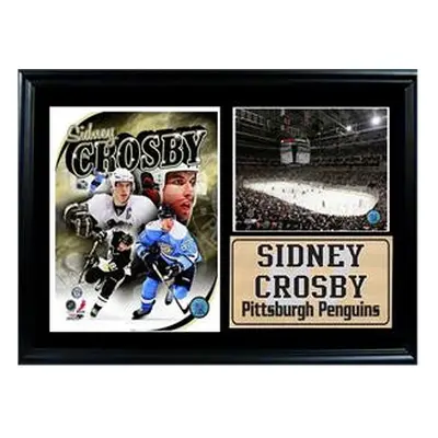 12x18 Photo Stat Frame - Sidney Crosby Pittsburgh Penguins