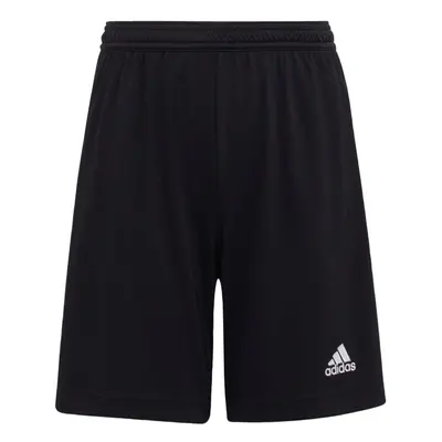 adidas Kids' Entrada Shorts Black Medium