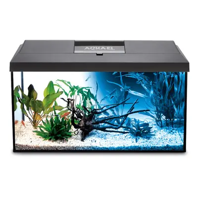 (AquaEl Leddy Day & Night Aquarium Kit - Black) AquaEl Leddy Day & Night Aquarium Kit