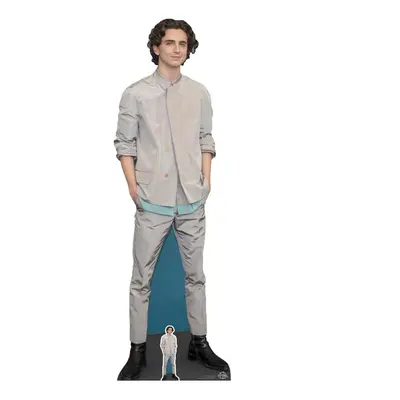 Timothee Chalamet Grey Outfit Lifesize Cardboard Cutout / Standee