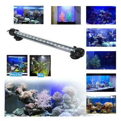 (Blue white, 49cm) Aquarium Tank Pond LED Strip Lights Bar Lamp Submersible Lights White Blue Fi