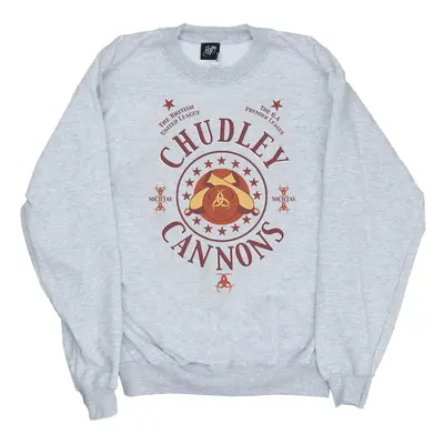 (S, Sports Grey) Harry Potter Mens Chudley Cannons Logo Sweatshirt