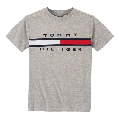 Tommy Hilfiger Boys' Short Sleeve Signature Flag Crew Neck T-Shirt Grey Heather 3T