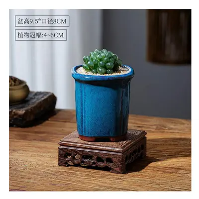 (Yulu potted plant+square peacock blue basin+(chicken wings wood base), Pot) Yulu Succulent Plan