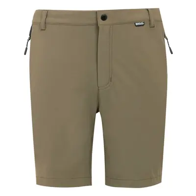 (40R, Treetop/Black) Regatta Mens Mountain II Shorts