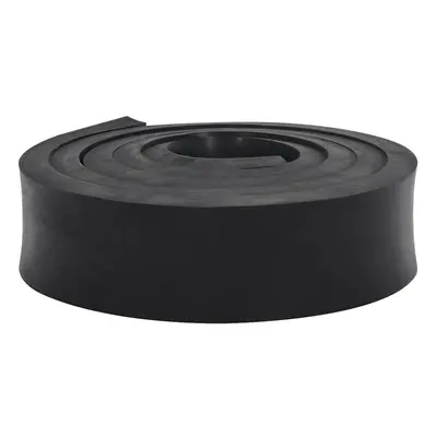 (300 x x cm) vidaXL Rubber Edge for Snow Plow Replacement Snow Plow Cutting Edge Black