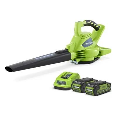 Greenworks GD040BVK2 Cordless 40v Garden Leaf Blower & Vacuum 185mph 2x Batts