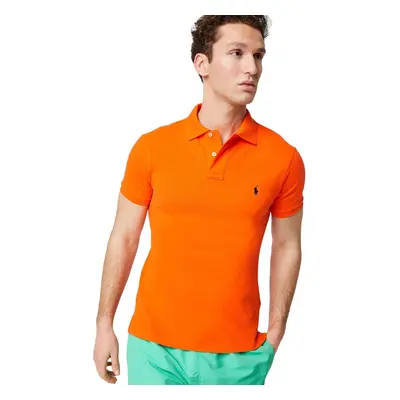 Polo Ralph Lauren Mens classic Fit Mesh Pony Logo Polo Shirt (L Signa