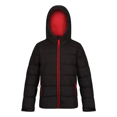 (7-8 Years, Black/Classic Red) Regatta Childrens/Kids Thermal Padded Jacket