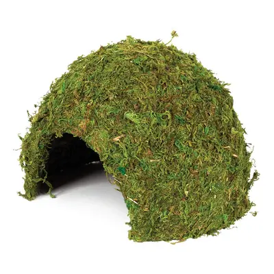 Large Natural Moss Cave for Reptiles