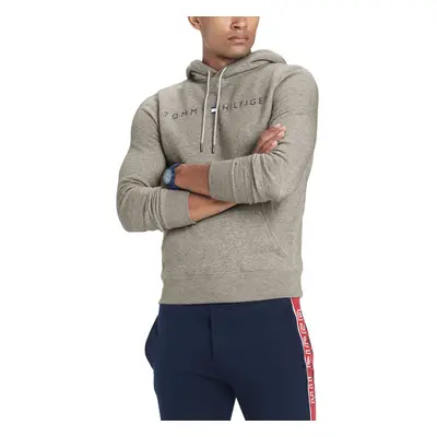 Tommy Hilfiger mens Logo Hooded Sweatshirt Sport Grey Heather Small