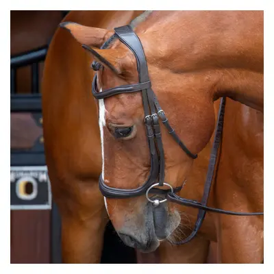 (Havana, Full) Shires Velociti RAPIDA Ergonomic Curved Cavesson Bridle