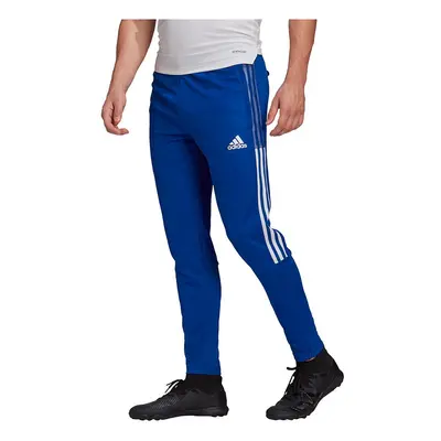 Men's pants adidas Tiro Training blue GJ9870