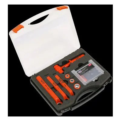 Hybrid & Electric Vehicle Battery Tool Kit 19pc