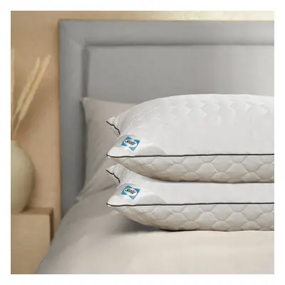 Sealy Deeply Full Pillow - Pack