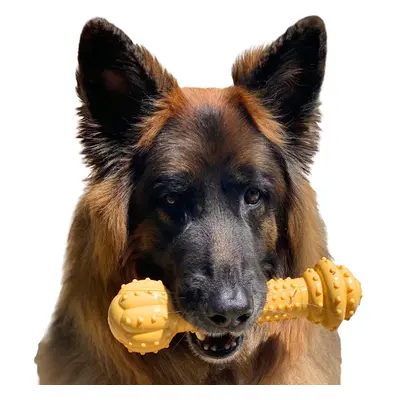 Nylabone Barbell Power Chew Durable Dog Toy Peanut Butter XX-Large/Monster Count