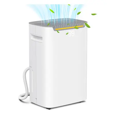 HOMCOM 20L/Day Dehumidifier for Home Damp, with 24H Timer, White