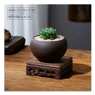 (Yulu potted plants+Zen pots+(chicken wings wood base), Pot) Yulu Succulent Plant Indoor Potted 