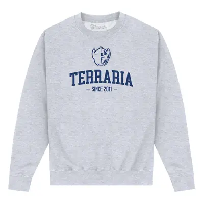 (S, Heather Grey) Terraria Unisex Adult Printed Sweatshirt