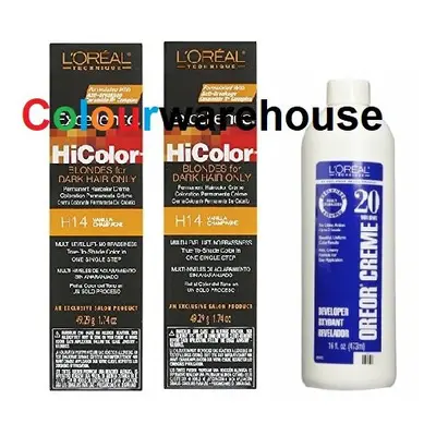 (H14 (2x), Dev (Vol. 20) 16oz) L'Oreal HiColor H14 Vanilla Champagne, Blondes For Dark Hair Only