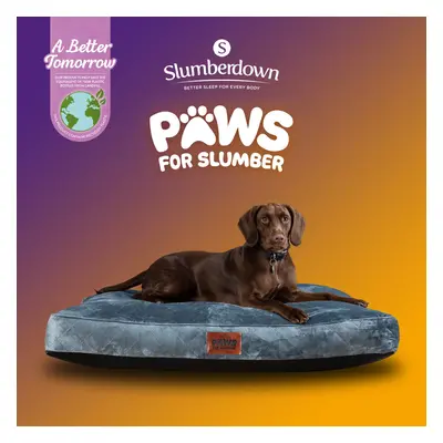 (Grey, Large) Paws for Slumber Padded Pet Bed UK Made