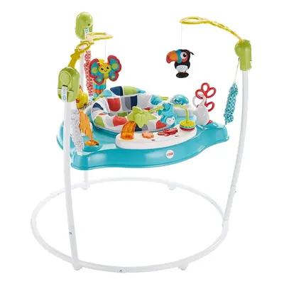 Fisher Price Colour Climbers Jumperoo