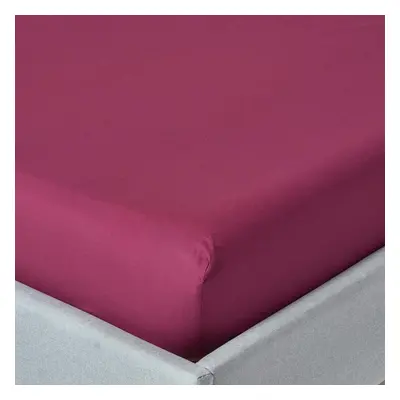 Homescapes Plum Egyptian Cotton Deep Fitted Sheet TC, Double