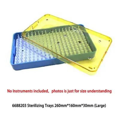 (Large) Sterilization Tray Case Box Silicone Sterilization tray Ophthalmic dental Surgical Instr