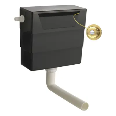 Universal Water Saving Dual Flush Side Inlet & Traditional Push Button - Brushed Brass/Black