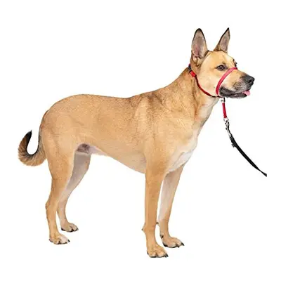 PetSafe Gentle Leader Headcollar, No-Pull Dog Collar â Perfect for Leash & Harness Training â