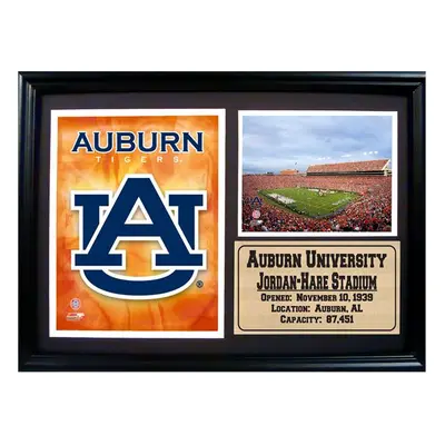 12x18 Photo Stat Frame - Auburn University