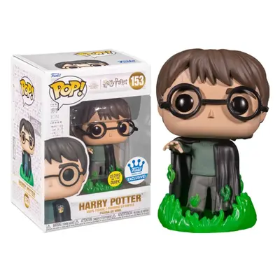 Harry Potter Funko POP | Harry Potter with GITD Floo Powder Exclusive