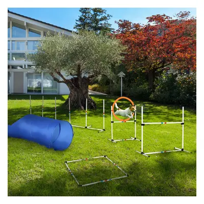 5-Piece Suit Agility Set for Dog Training Exercise Obedience Rehabilitation