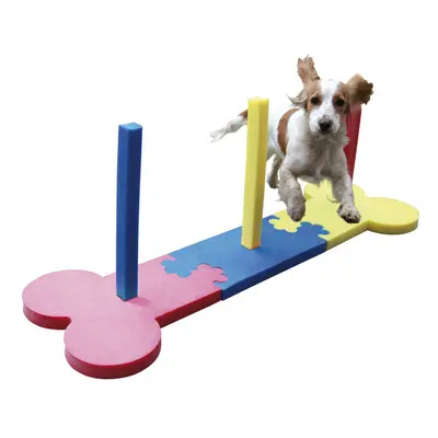 Sml Dog Agility Slalom