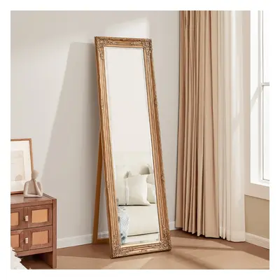 Classic Gold Carved Full Length Mirror 50*170cm