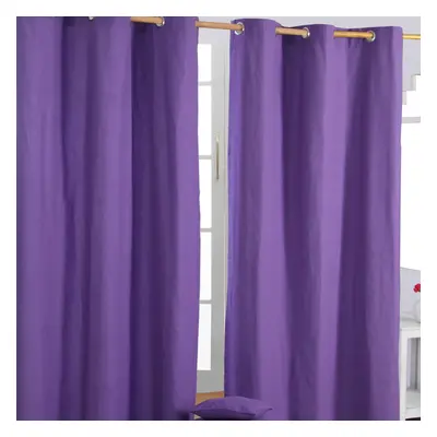 (W 137cm x Drop cm, Purple) Plain Cotton Eyelet Curtains