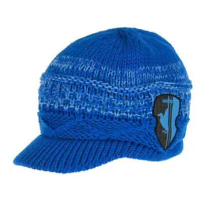 Harry Potter Knit Brim Cap (Ravenclaw)