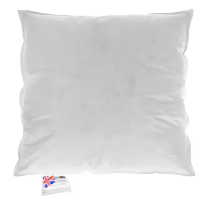 (80 x cm) Goose Feather & Down Cushion Pad Insert